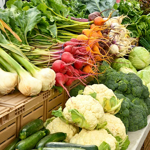 Fresh vegetables on display: white onions, green onions, carrots, radishes, cabbages, broccoli, cauliflower, peppers, and leafy greens arranged in crates and baskets.